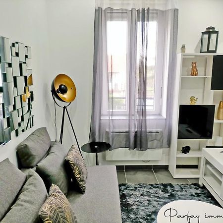 Agreable Et Moderne 2 Pieces ~ Confort Et Design كليرمونت-فيراند المظهر الخارجي الصورة